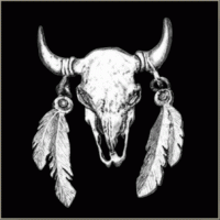 Pin Buffalo skull